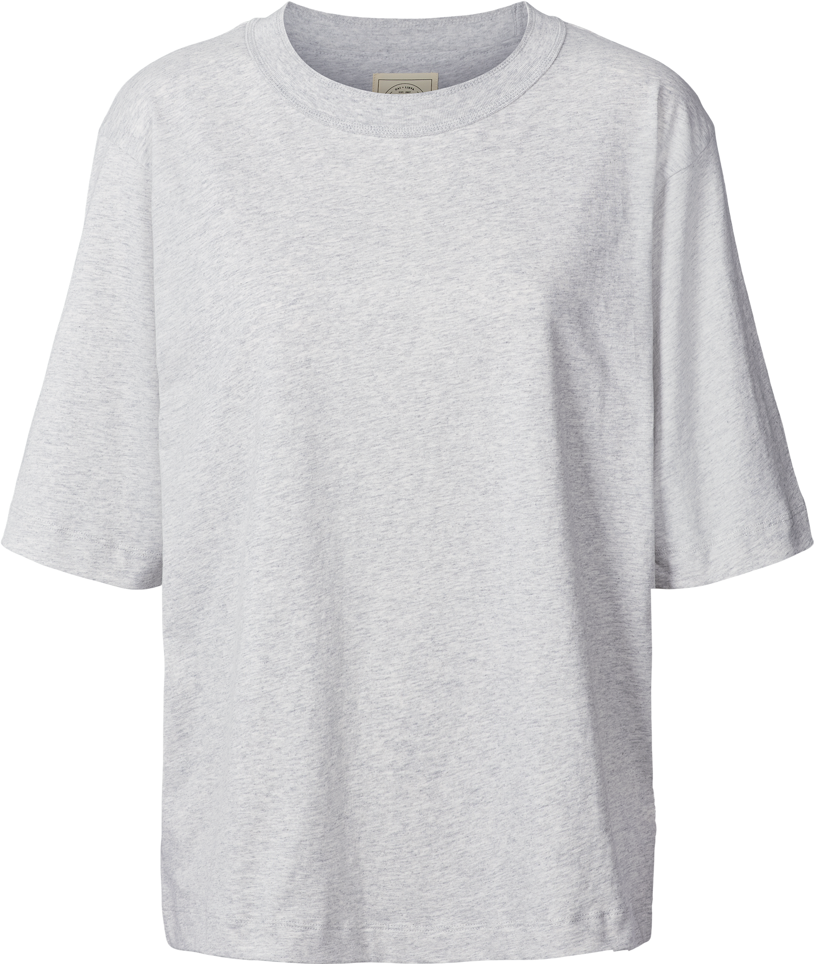 GAI+LISVA Maya Oversize Tee GOTS 243975 Top 601 Light Grey Melange